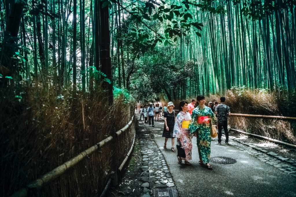Tourists flock to Japan after COVID restrictions lifted