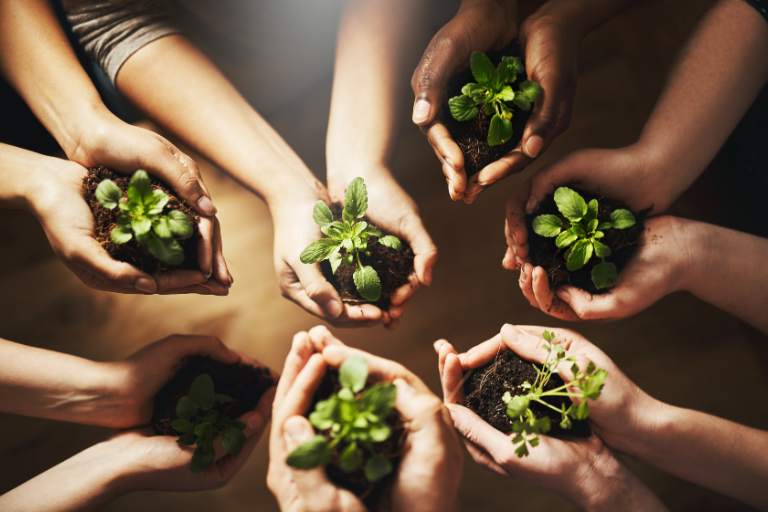 How Technology Driven Sustainability and CSR Will Shape the Future of Hospitality